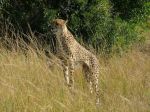 safrica05_image75.jpg